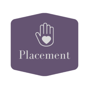 Adoption Placement Icon
